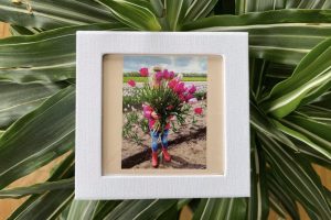 A0232BA9-5B18-4FCB-8A23-FC3C32F97456 kopie